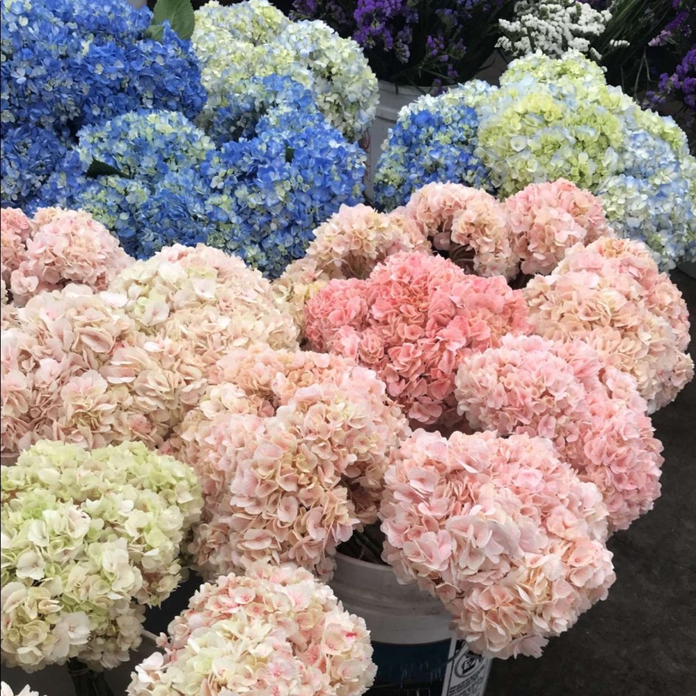 Meet your Posher, Tarah